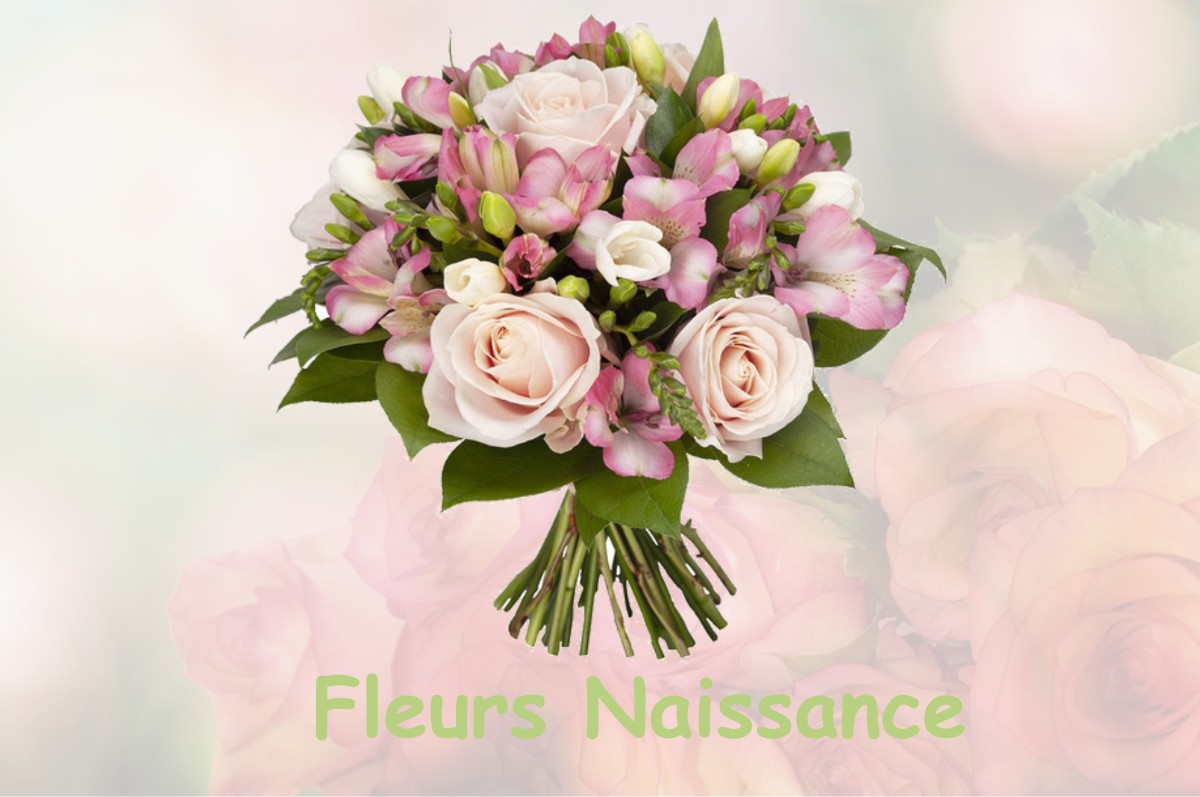 fleurs naissance SAUVIGNY