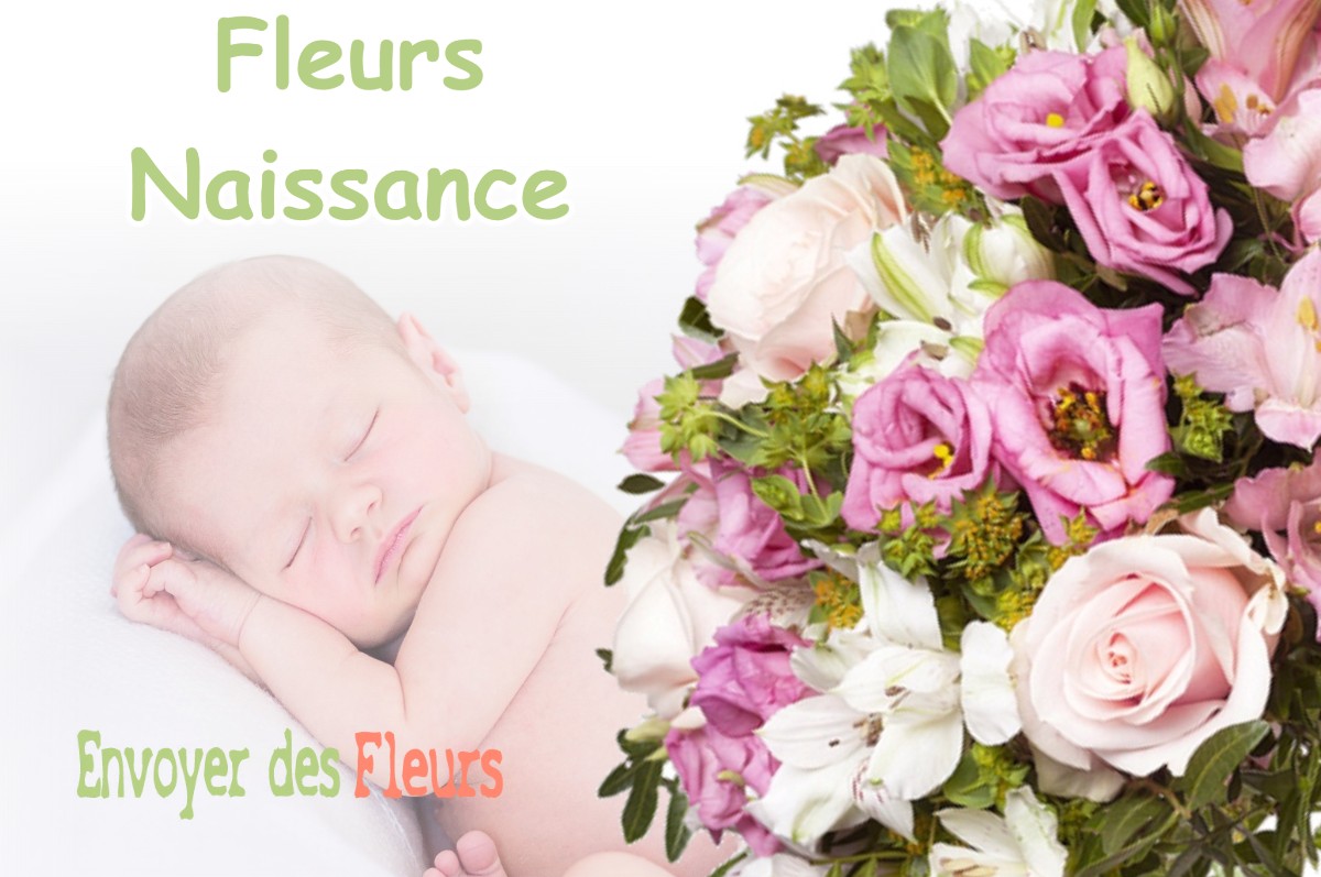 lIVRAISON FLEURS NAISSANCE à SAUVIGNY